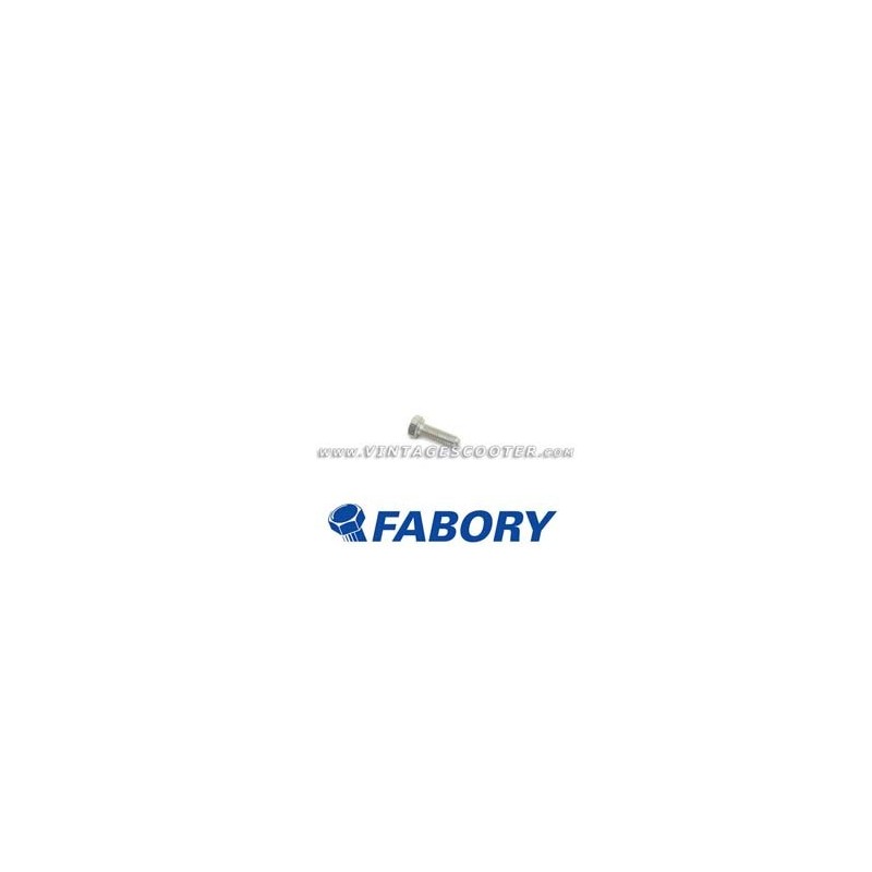 Boulon  M 5 mm L 15 mm zingué FABORY